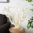 Deco 79 Polystone Coral Decorative Sculpture Home Decor Statue with Clear Acrylic Base, Accent Figurine 26" x 8" x 23", Cream - size: 26" x 8" x 23"