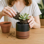 D'vine Dev Set of 2 Plants Pots, 3.5 Inch Ceramic Planter Pot for Plants with Drainage Hole and Saucer, Black/Speckled Tan, 94-V-A-7 - color: Black/Speckled Tan, size: 3.5 Inch