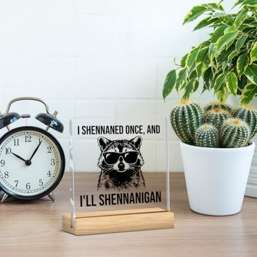 Raccoon Funny Office Decor Funny Desk Decor Sarcastic Gifts Coworker Gifts Acrylic Humor Gift for Women Men Boss Coworker Home Office Decorations - color: I Shennaned Once，And I'll Shennanigan