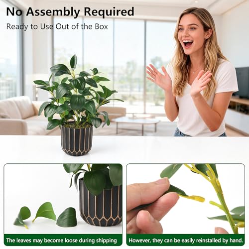 florisso Artificial Succulents with Fig Leaf Greenery in Black & Gold Planter, Fake Succulents Potted Decor for Farmhouse, Bathroom, Bedroom, Kitchen, Office Desk and Coffee Table (Black Gold) - color: Black & Gold Plastic Planter