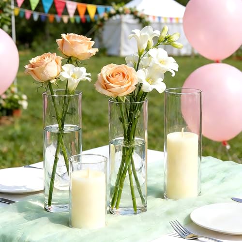 16 Pack Glass Cylinder Vase, 7.67" H×2.36" W Clear Vases for Centerpieces, Flower Vases for Bouquet,Hurricane Vase Ideal for Wedding Table Centerpieces, Floating Candles & Bouquet Arrangements