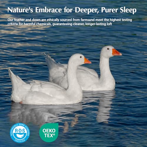 Pacific Coast Goose Feather Down Fiber Comforters Twin Size, Extra Fluffy White Duvet Insert, Ultra-Soft, Breathable, All Season Hotel Luxury Bedding Comforters, 8 Corner & Center Loops (68"x90") - size: Twin