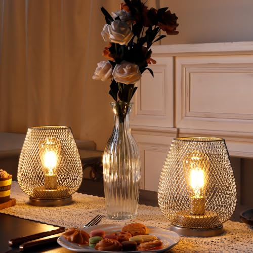 JHY DESIGN Set of 2 Metal Cage LED Lantern Battery Powered Cordless Accent Light with LED Great for Weddings Parties Patio Events for Indoors Outdoors(Silver) - style: Set of two Silver egg