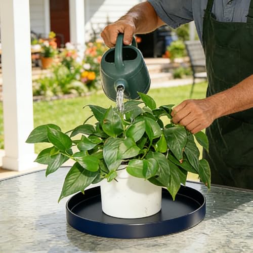 1 Pack 12 inch Plant Saucer Drip Tray, Heavy Sturdy Plastic Planter Flower Pot Drainage Tray Plate Saucers for Indoor Outdoor Garden, Plant Water Drip Trays for pots Base (12", Blue) - color: Blue, size: 12" - 1Pcs