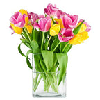 CYS EXCEL Glass Book Vase (H:10" Open:7"x2") Round Edge Oval Flower Vase Rectangular Wedding Centerpiece - size: H-10" Open-7"x2"