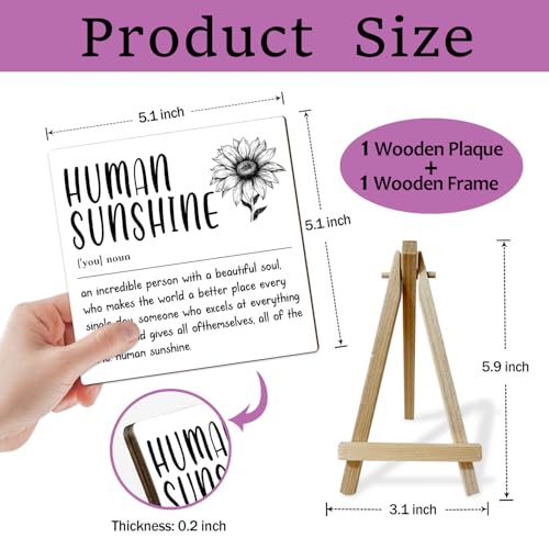 Home Office Decor, Human Sunshine Definition Desk Decor, Employee Appreciation Gifts, Admin Professionals Day Gifts, Teacher Mentor Gifts (MP08) - color: MP08