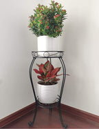28.4 inches Tall Metal Plant Stand 11.8 Dia for Indoor or Outdoor use,2 Tier Heavy Duty Flower Pot Stand Rack 11.8 inches Diameter Holds Big Heavy Plants,Black (28.4 INCHES TALL) - size: 28.4 INCHES TALL