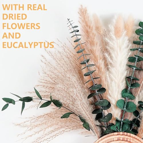 2 Pack Wall Woven Vases with Pampas Grass – Boho Decor for Living Room, Modern Farmhouse Entryway or Bathroom, Rustic Art for Home Decoration - style: Wall Decor-Woven