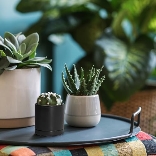 D'vine Dev Set of 2 Plants Pots, 3.5 Inch Ceramic Planter Pot for Plants with Drainage Hole and Saucer, Black, 94-V-A-2 - color: Black, size: 3.5 Inch