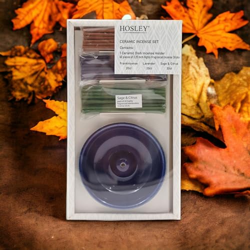 Hosley Incense Sticks Gift Set with 60 Incense Sticks and Ceramic Incense Holder - Ideal Incense Burner Holder for Home, Meditation, Spa, and Aromatherapy - Premium Incent Holder - color: Blue2