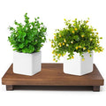 Wood Riser For Display Walnut Wood Pedestal Stand, farmhouse decor Soap Tray, Displays Your Plant Bottles Candles for Your Home Kitchen (Large, 12 x 7.1 x1.57Inch) - size: Large &12*7.1*1.57‘’