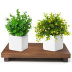 Wood Riser For Display Walnut Wood Pedestal Stand, farmhouse decor Soap Tray, Displays Your Plant Bottles Candles for Your Home Kitchen (Large, 12 x 7.1 x1.57Inch) - size: Large &12*7.1*1.57‘’