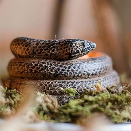 Coiled Snake Candlestick Candle Holder, Resin Tealight Candleholder, Serpent Sculpture, Ornament Garden Home Decorations(2Pcs)