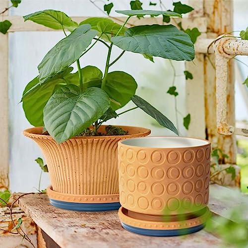 YBX 8-inch Plant Saucer Premium Terracotta Saucer Round Ceramic Plant Trays, Pack of 2 (Navy/Terracotta) - color: Navy/Terracotta