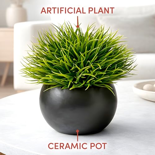 Fake Succulents Plants Artificial in Premium Ceramic Pots (2 Pack Round) Realistic Faux Succulents for Bathroom, Home & Office Décor - style: 2 Pack Round