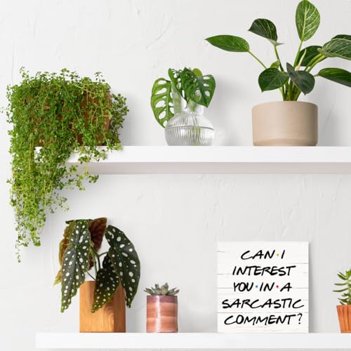 Farmhouse Wooden Box Sign, Funny Sarcastic Office Decor, Wood Decoration for Cubicle Home Office Desk Desktop, Work Humor Gift for Coworker Friends, Can I Interest You in A Sarcastic Comment Sign - color: Inspirational14