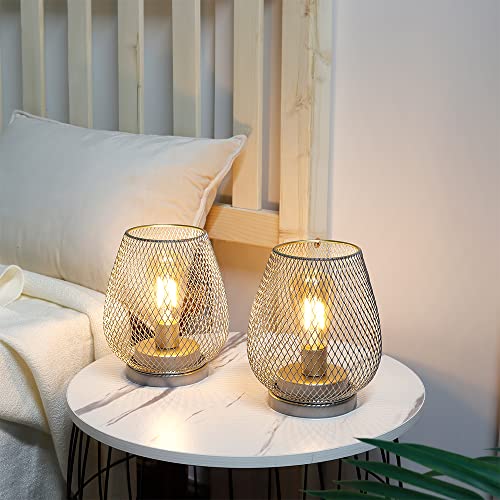 JHY DESIGN Set of 2 Metal Cage LED Lantern Battery Powered Cordless Accent Light with LED Great for Weddings Parties Patio Events for Indoors Outdoors(Silver) - style: Set of two Silver egg
