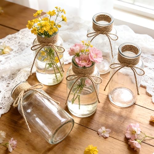 12 Pack Glass Flower Vases with Rope,Brajttt Vintage Bud Vases in Bulk,Mason Jars for Centerpieces,Flower Vase for Centerpieces and Tag for Weddings,Home Decor & DIY Projects