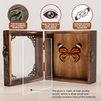 Real Framed Butterflies Shadow Boxes - Framed Butterfly Taxidermy Unique Metal Pushpin Fixation, Oddities and Curiosities Gifts Butterfly Decoration Box (Tabby Butterfly (Family Papilionidae)) - color: Tabby Butterfly (Family Papilionidae)