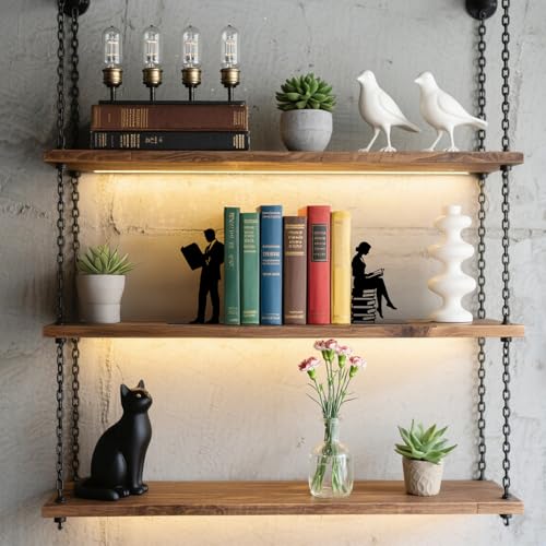 Metal Bookends Lovers Bookends Decorative Modern Book Ends for Shelves Bookshelf Home Office Desk Reading Decor Space-Saving Desk Organizer Decorative Shelf Stoppers for Books - style: Lovers Decorative Bookends