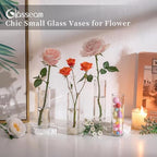 Cylinder Bud Vases in Bulk 24: Glasseam Small Clear Glass Vases for Centerpieces Wedding Table Decor Modern 5.9In Flower Vase Set for Single Stem Roses Tulips