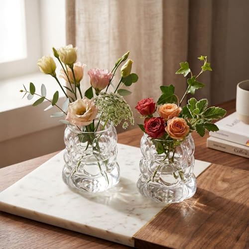 2PCS Small Bubble Glass Bud Vase: Light Weight Short Wide Mouth Crystal Clear Vase - Mini Aesthetic Funky Vase for Hydroponic Plants, Dried Flowers, Table Centerpiece, Coffee Side & Desk Modern Decor