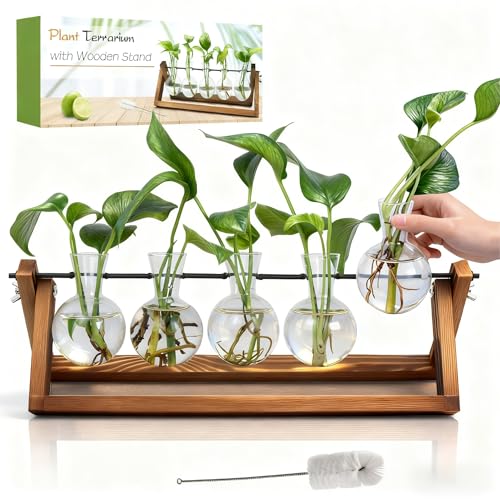Renmxj Plant Propagation Station, Propagation Vases for Plants, Unique Gardening Birthday Gifts for Women Plant Lovers Mom Best Friend - 5 Bulb Glass Vases - size: 5 Bulb Vase