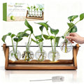 Renmxj Plant Propagation Station, Propagation Vases for Plants, Unique Gardening Birthday Gifts for Women Plant Lovers Mom Best Friend - 5 Bulb Glass Vases - size: 5 Bulb Vase