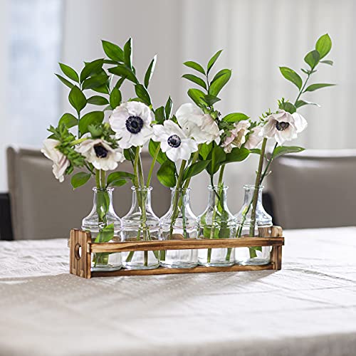 Le'raze Glass Flower Vase with Wooden Holder, Set of 6 Rectangular Bud Vases for Home Decor, Wedding, Mother's Day, Clear Glass, Metal Stand