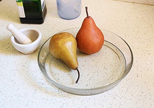 Achla Designs 8 3/4-in Glass Plate, Plant Tray Terrarium Saucer