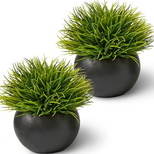 Fake Succulents Plants Artificial in Premium Ceramic Pots (2 Pack Round) Realistic Faux Succulents for Bathroom, Home & Office Décor - style: 2 Pack Round