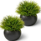Fake Succulents Plants Artificial in Premium Ceramic Pots (2 Pack Round) Realistic Faux Succulents for Bathroom, Home & Office Décor - style: 2 Pack Round