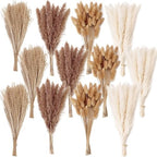 300 PCS Dried Flower Bouquet – Pampas Grass, Floral Decor for Home, Wedding, and Boho Style | Perfect for Vases, Fall, Spring, Summer, and Winter Arrangements - size: 300PCS