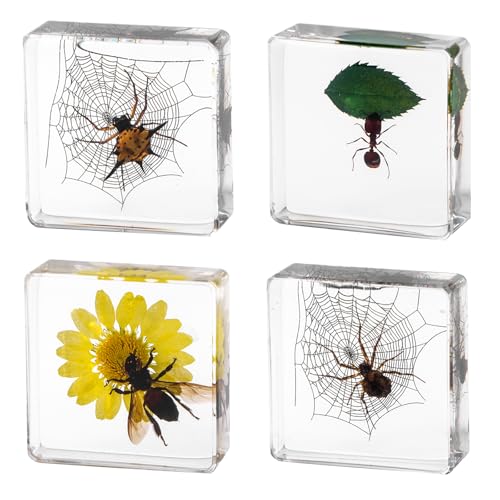 4Pcs Insect Taxidermy in Resin Specimen Set - Bugs in Clear Block for Oddities Collection, Home Decor & Unique Gift (1.5x1.5 inch) - color: 4pcs Insect (1.5x1.5in)