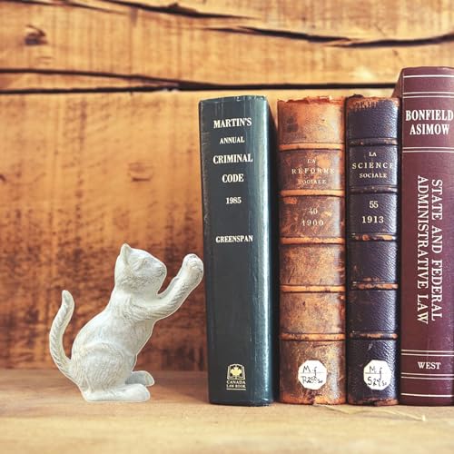 Book Ends Decorative for Shelves, Cute Cat Decor Bookends for Home/Office, Cast Iron Heavy Duty Book End for Heavy Books, Unique Adorable Kittens Door Stoppers, Vintage White 2PCS - color: Vintage White