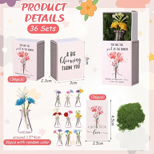 24 Sets Mother's Day Bulk Gifts for Women Teacher Nurse Appreciation Positive Mini Bud Vases with Flower Office Desk Decor Mini Box Breathing Thank You Gifts for Graduation Coworker Staff (Pink) - color: Pink