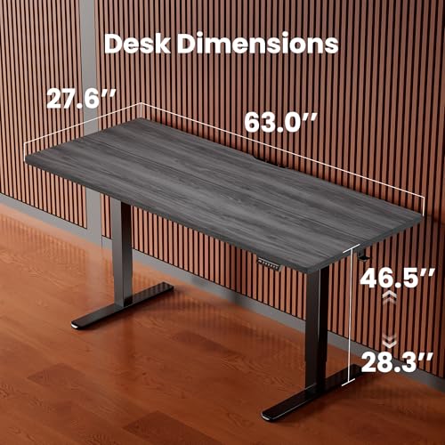 ErGear Height Adjustable Electric Standing Desk, 63 x 28 Inches Sit Stand up Desk, Memory Computer Home Office Desk, Grey - color: Grey, size: 63.0 X 27.6 Inches