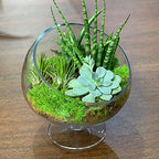 WGV Slant Cut Bowl Glass Vase with Stand, Width 8.25", Height 8.75", Clear Planter Terrarium, Candy Dish, Fruit Jar for Wedding Party Event, Home Office Decor, 1 Piece - size: Pedestal 8.5"H