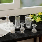 H&D HYALINE & DORA 6 Pcs Mini Glass Flower Vases Cat Whisker Vase Clear Miniature Ribbed Vases for Centerpieces, Wedding Reception Table Decorations(1.2-2.5 in)