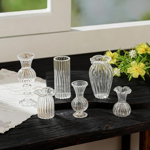 H&D HYALINE & DORA 6 Pcs Mini Glass Flower Vases Cat Whisker Vase Clear Miniature Ribbed Vases for Centerpieces, Wedding Reception Table Decorations(1.2-2.5 in)