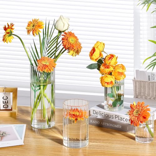 6 Pack Ribbed Glass Cylinder Vases 4,6,10 Inch Tall Clear Flower Vase Hurricane Floating Candle Holder for Table Centerpiece Wedding Home Decor - size: 6 Pack Ribbed(4,6,10 Inch)