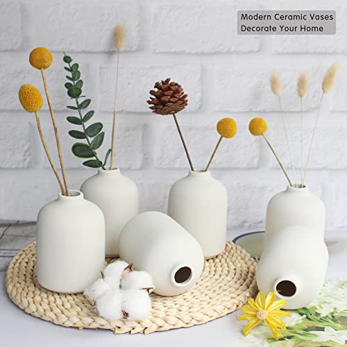 YANLING Small White Vase for Decor, 6 Pack Ceramic Vases for Pampas Grass, Boho Vase for Home Decor White Vases for Flowers, Modern Ceramic Vase Dried Flowers Vases - color: White-b, size: 6 Pack-Small