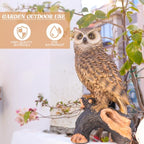 Owl Garden Statue - Perching Forest Owl on Stump Resin Figurine for Home Indoor Outdoor Garden Patio Yard Decor