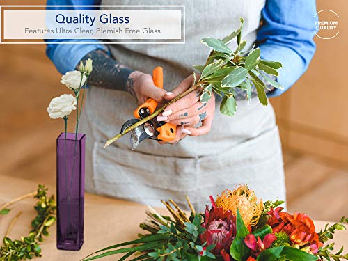 Flower/Bud Glass Vase Decorative Centerpiece, Home or Wedding by Royal Imports - 10"x2", Plum - color: Plum, size: 10 inches