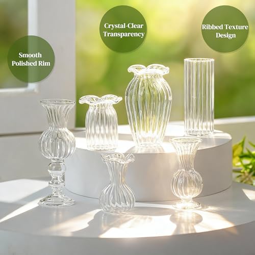H&D HYALINE & DORA 6 Pcs Mini Glass Flower Vases Cat Whisker Vase Clear Miniature Ribbed Vases for Centerpieces, Wedding Reception Table Decorations(1.2-2.5 in)