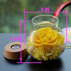 Preserved Real Roses with Colorful Mood Light Wishing Bottle,Eternal Rose，Never Withered Flowers, a Gifts for Women 4.3inch 1pcs (Yellow) - color: Yellow