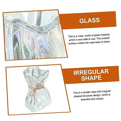 Ipetboom Abstract Irregular Shaped Glass Vase Decorative Art Planter for Home Office Garden Unique Minimalist Flower Container for Kitchen Dining Accent