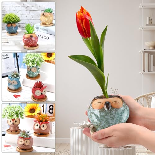 Cindeer 18 Pcs 2.5 Inch Owl Ceramic Succulent Planter Pots Mini Small Ceramic Pots with Drainage Hole and Bamboo Tray for Succulents Glaze Cactus for Home Garden Office Desk Decoration Gift Ideas - style: Owl