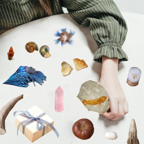 10Pcs Mystery Natural Oddities Collection Box - Real Fossils, Crystals & Taxidermy in Glass Vials | Dark Academia Decor for Adults & Kids | Witchy Curio Cabinet Decor | Unique Gifts for Science Lovers - style: 10PCS