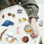 6Pcs Mystery Natural Oddities Collection Box - Real Fossils, Crystals & Taxidermy in Glass Vials | Dark Academia Decor for Adults & Kids | Witchy Curio Cabinet Decor | Unique Gifts for Science Lovers - style: 6Pcs
